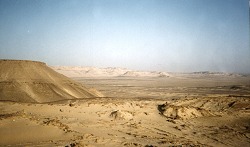 Western Desert.jpg